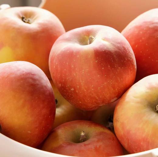 【阿克苏樱桃小苹果】红润小巧像樱桃，咬一口咔嚓爆汁，清甜不腻，果肉细腻无渣，产自天山雪水灌溉的阿克苏果园，超长日照+大温差， 自然甜，不催熟不打蜡，老人小孩都能放心吃 商品图1