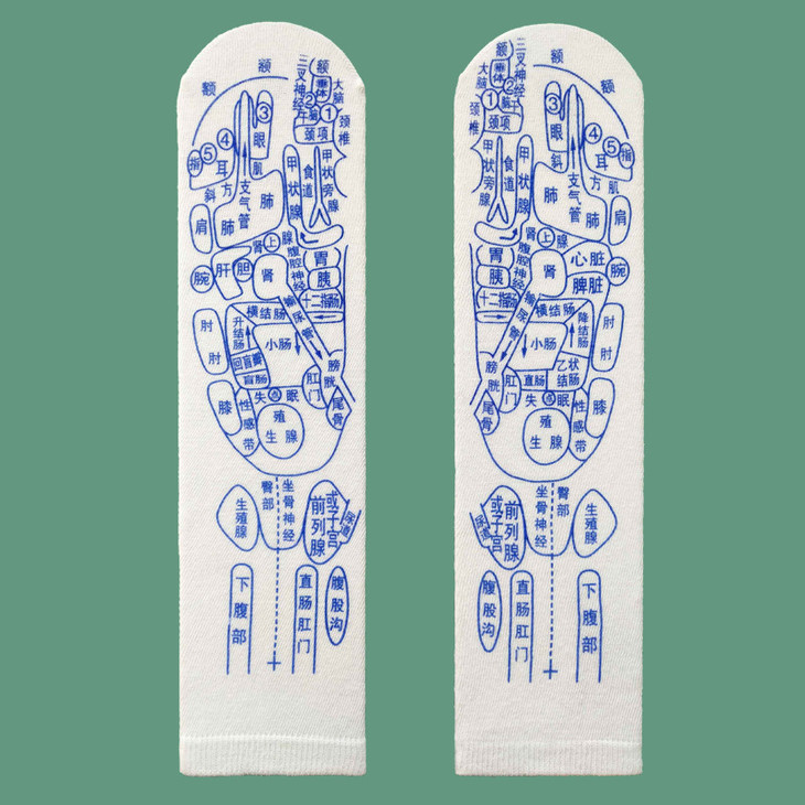 4圆头脚掌800-800