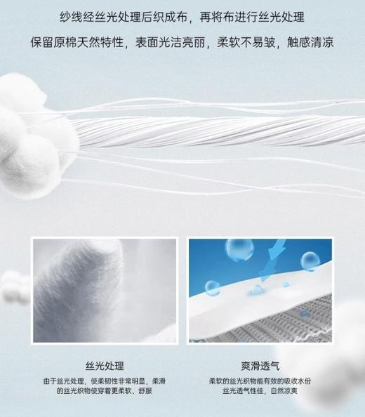 直发 出口日本的纯订单货，柜价115元/双 ，丝光棉的商务男袜子 商品图2