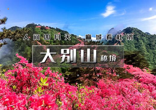五一5天｜大巴•大别山秘境｜鲜为人知大别山秘境の开封-武汉-麻城杜鹃-天堂寨-三河古镇 商品图0