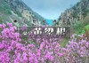 周末1日｜黄梁根｜壮观集中的杜鹃花-黄梁根11公里环穿<初级强度> 商品缩略图0