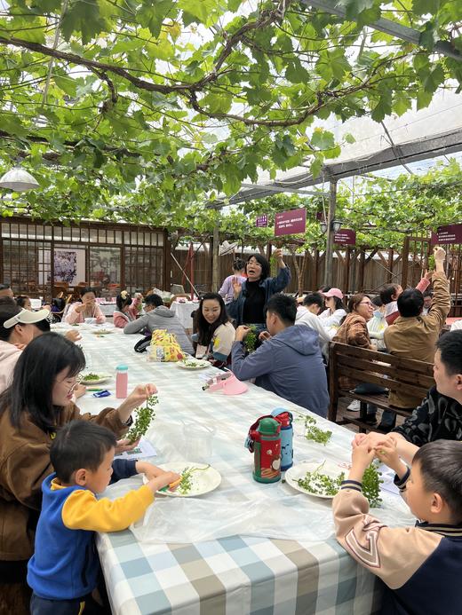 【活动招募】探索葡萄开花、授粉小秘密，还有农家土灶饭、葡萄文创DIY、疏果采摘、萌宠喂养，一天玩转春日所有美好！ 商品图5