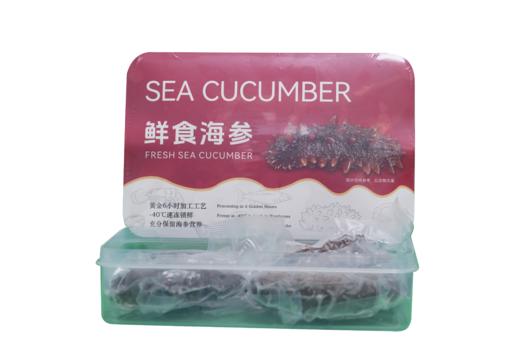 【门店同款】鲜食海参乐扣盒装（500g/盒） 商品图2