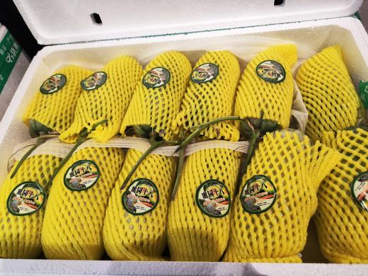 【蜜园18蜜瓜】比博洋还甜，比羊角蜜更脆~，外清脆，里甜嫩，汁多香味足，味道浓郁 商品图1