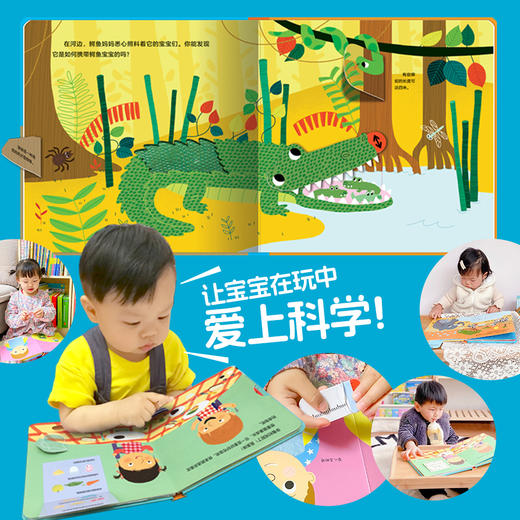 法国幼儿科学启蒙玩具书：全6册点读版0-3岁立体洞洞书早教启蒙 商品图4
