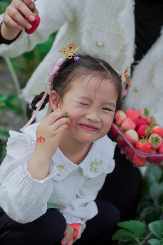 已成团4.11下午场【天府新区-披萨“莓”问题.半日亲子营】采鲜花、拓印春日日历，采摘草莓，窑烤草莓披萨，快乐亲子活动：铁盒爆米花 商品图3