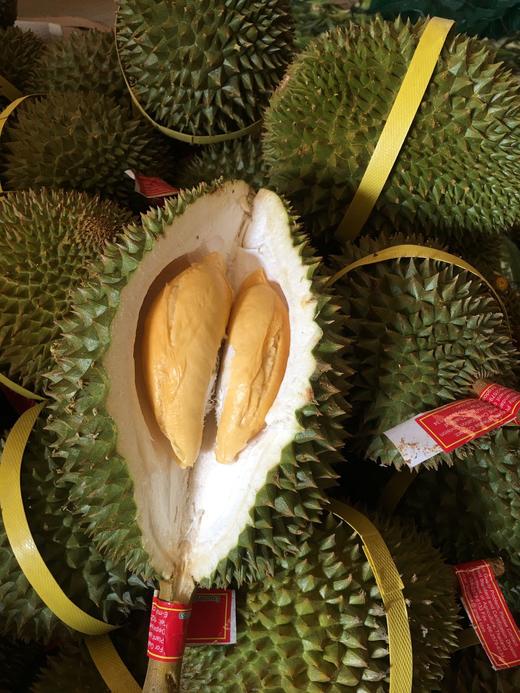 「榴莲忘返！」泰国托曼尼榴莲丨软糯香甜•最接近猫山的口感｜甲伦｜金枕 按果期上架 好饱满好甜 txa 商品图2