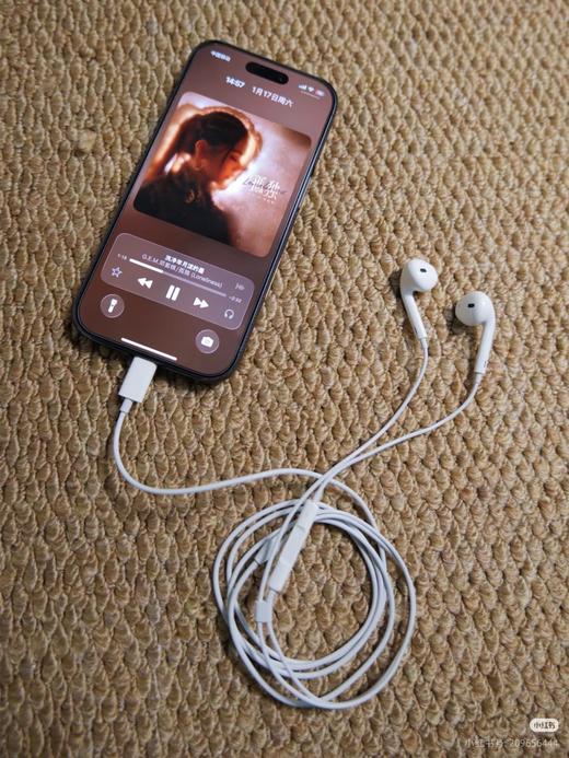 直发 比蓝牙更省心，苹果EarPods USB-C有线耳机 商品图6