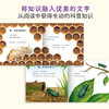 原来虫虫这样长大全10册 昆虫科普自然观察绘本故事 商品缩略图4