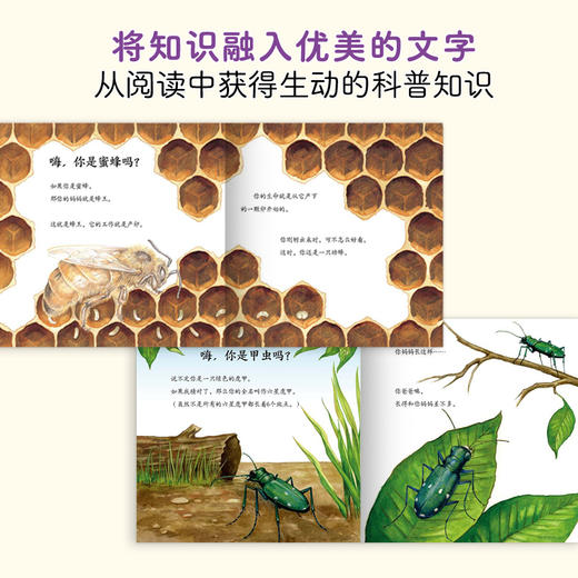 原来虫虫这样长大全10册 昆虫科普自然观察绘本故事 商品图4