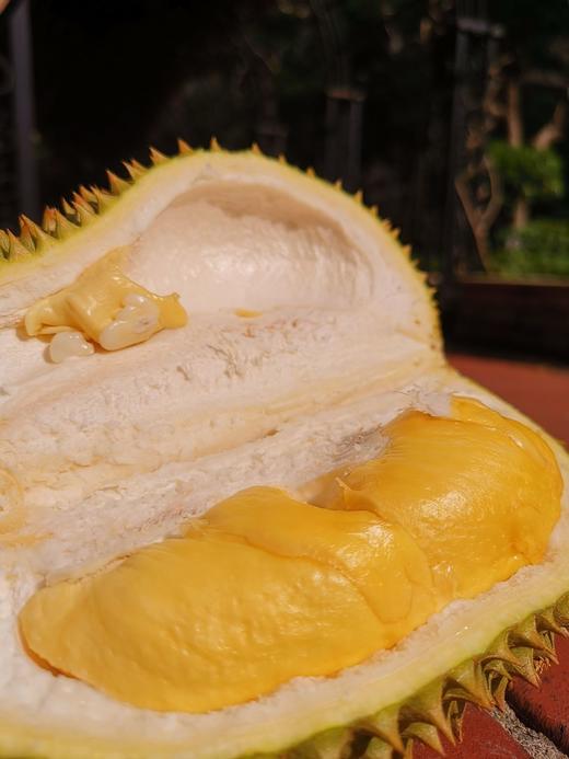 「榴莲忘返！」泰国托曼尼榴莲丨软糯香甜•最接近猫山的口感｜甲伦｜金枕 按果期上架 好饱满好甜 txa 商品图7