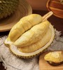 「榴莲忘返！」泰国托曼尼榴莲丨软糯香甜•最接近猫山的口感｜甲伦｜金枕 按果期上架 好饱满好甜 txa 商品缩略图5