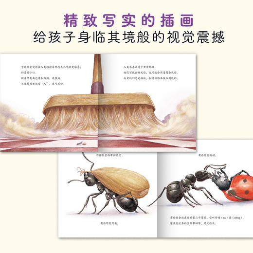 原来虫虫这样长大全10册 昆虫科普自然观察绘本故事 商品图2