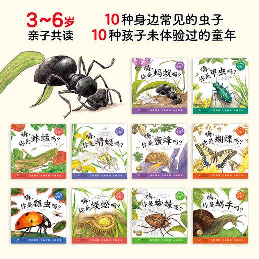 原来虫虫这样长大全10册 昆虫科普自然观察绘本故事 商品图1