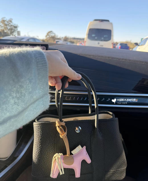 新款迷你花园包 -黑色 商品图4