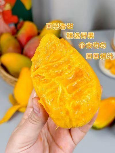 海南山丘贵妃芒【水果饮料】 商品图4