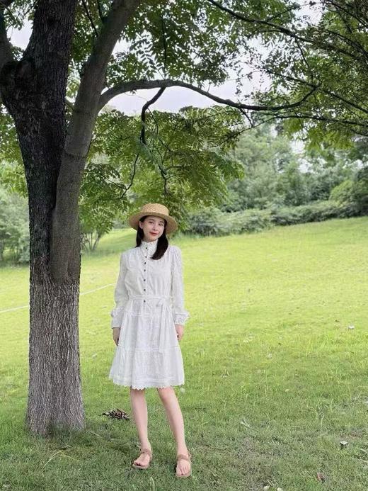 pure*荷叶边立领雕孔绣花a字连衣裙 商品图8