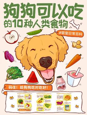 【科普小知识】🐶狗狗可以吃的10种人类食物🍗你知道几个❓