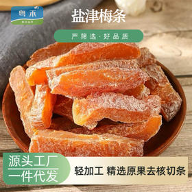 盐津梅条10斤无核酸梅条干九制乌梅条梅子梅干半梅李子蜜饯果脯