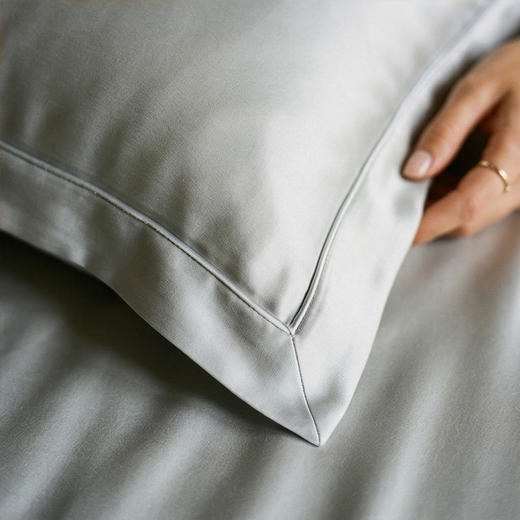 一对装|SANGLUO桑罗玻尿酸枕套枕巾桑蚕丝绸枕套（买一对送随机眼罩1只）02024401 商品图7