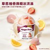 哈根达斯草莓柚香冰淇淋77g 商品缩略图3