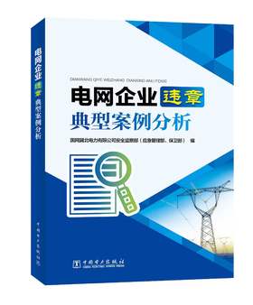 电网企业违章典型案例分析