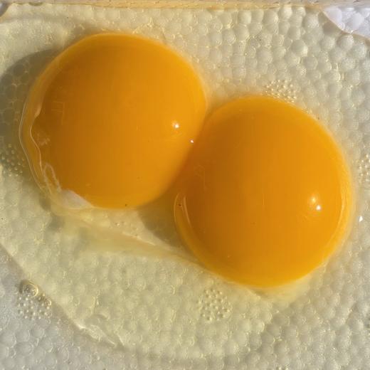 双黄蛋（10枚） 商品图0