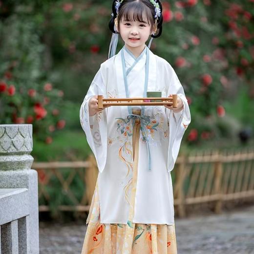 【团购】【苏城纪】清仓特价款明制汉服-明兰3件套 商品图0