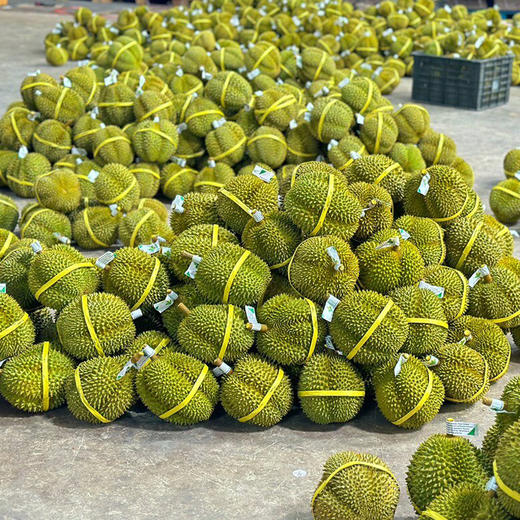 泰国进口甲仑榴莲当季新鲜水果口感纯正黄肉香甜软糯绵软柔滑包邮发货 商品图1