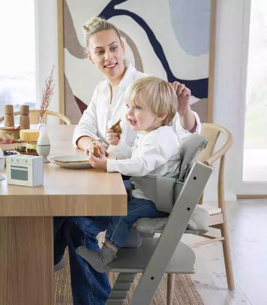 六件套 | 北欧Stokke Tripp Trapp儿童成长椅多功能学坐神器宝宝餐椅 餐椅TT 护栏套件 餐盘 安全带 新生儿套件 普通坐垫(随机款) 商品图3