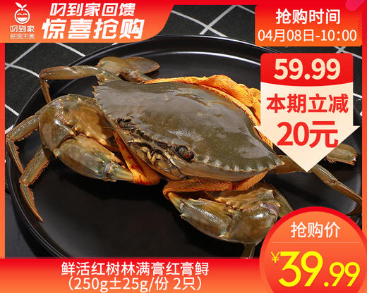 鲜活红树林满膏红膏鲟（250g±25g/份 2只） 商品图0