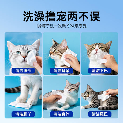 【99.9%杀菌率、RO纯水配方】宠物湿巾一次性免洗清洁用品猫咪狗狗洗澡除臭专用湿纸巾.TA 商品图3