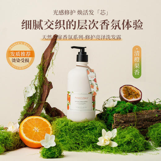 天然之扉香氛系列长效控油洗发露沐浴露丰盈蓬松强韧 商品图1