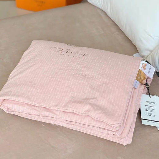 宝丽丝2.9斤蚕丝夏被，中国平安在保，专柜价2000+，特惠199入手 商品图6