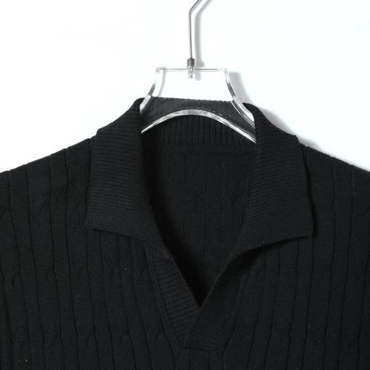 SDSA男装2026新款高贵轻奢老钱风针织纽花海鸥领短袖T恤百搭休闲 商品图1