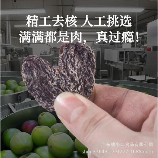 【潮汕风味】劲凉梅肉皇怀旧潮汕风味梅肉果脯蜜饯追剧解馋小零食 商品图3