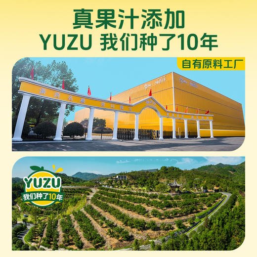 【热销爆款】柚香谷宋柚汁300g*20瓶包装酸甜可口复合果汁柚子饮料 商品图4