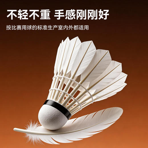 的幸均衡之翼1号羽毛球鹅毛耐打稳定 训练比赛用球12 只装 商品图2
