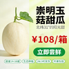 【预售】崇明东滩玉菇甜瓜3-4只/箱（约5kg/箱）根据订单顺序陆续发货 商品缩略图0