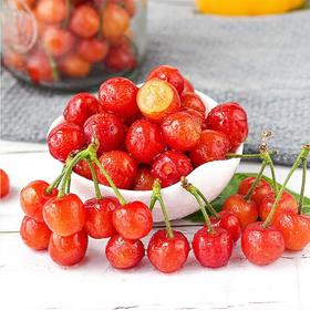 米易小樱桃 250g/盒
