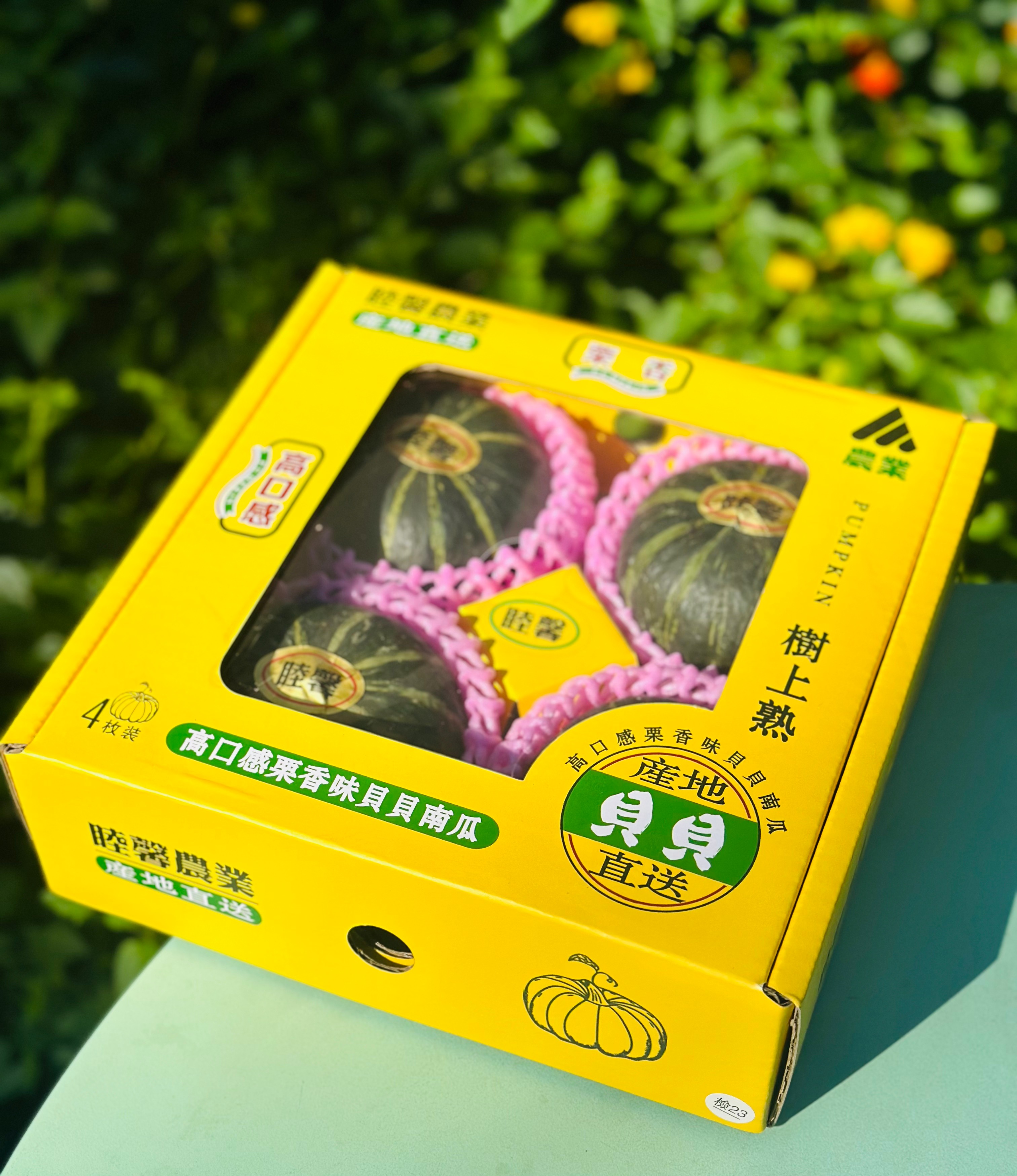 贝贝南瓜 |  中午小饭瓜伺候贝贝南瓜来啦，绵糯糯的带点粉，一点不噎人，回味绵香的小南瓜～