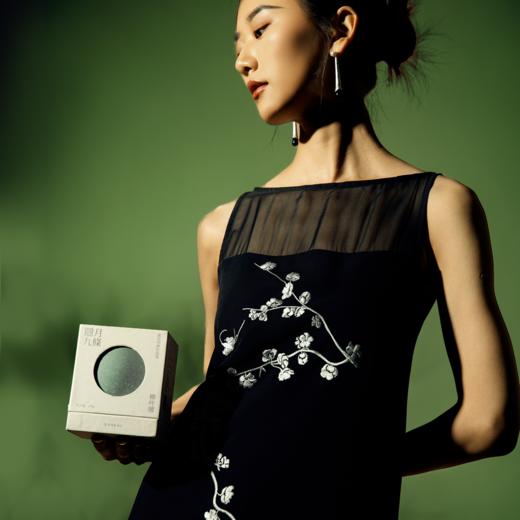 黄芪四神伏湿膏 商品图4