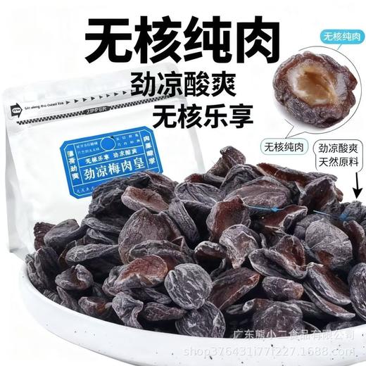 【潮汕风味】劲凉梅肉皇怀旧潮汕风味梅肉果脯蜜饯追剧解馋小零食 商品图0