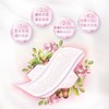 【四包一组】苏菲 裸感S 乳木果 贵族棉 日用250mm 商品缩略图5