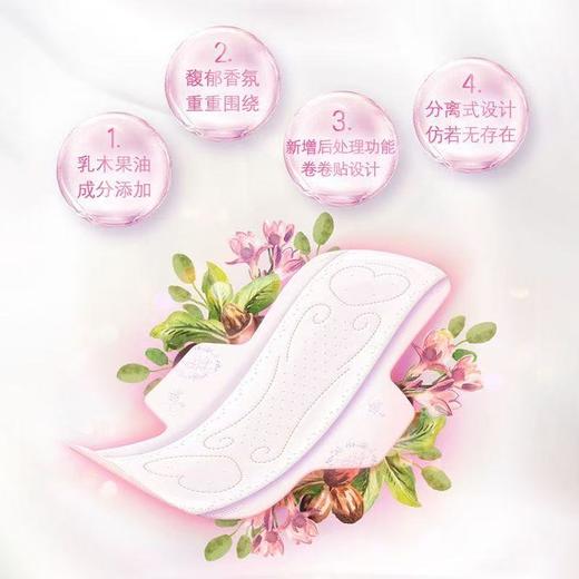 【四包一组】苏菲 裸感S 乳木果 贵族棉 日用250mm 商品图5