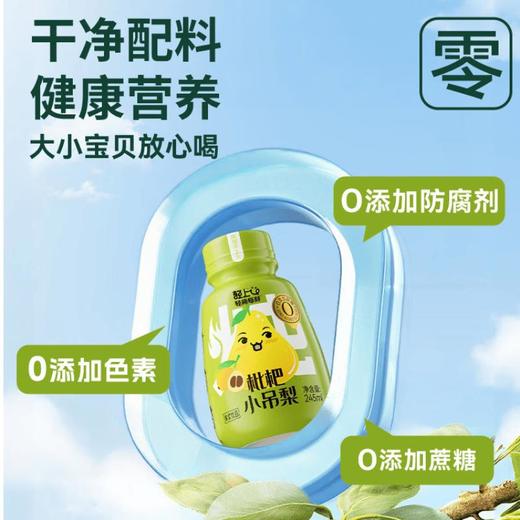 轻上枇杷小吊梨245ml 商品图4