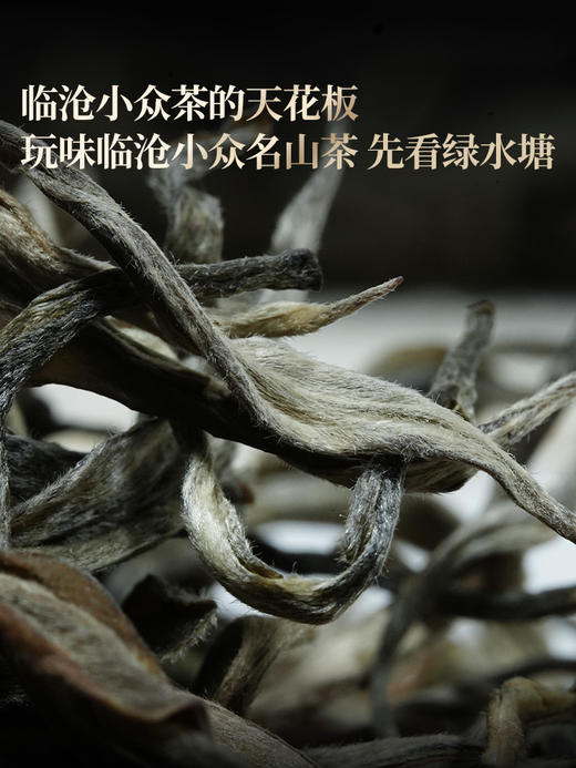 4月9日中午12点【积分兑换价：280元+2000积分】【绿水塘单株】2026年春茶预售临沧茶区普洱生茶小众山头天花板500克/箱，拍5发6 商品图2