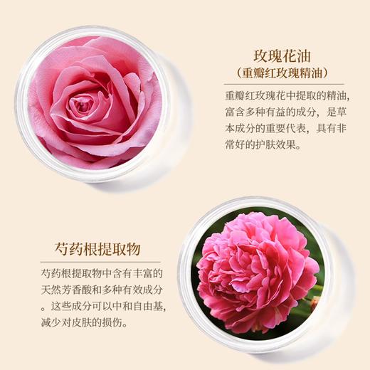 【玫瑰精油赋活玻色因精华乳】守护肌肤赋活之源重现紧致饱满 商品图4
