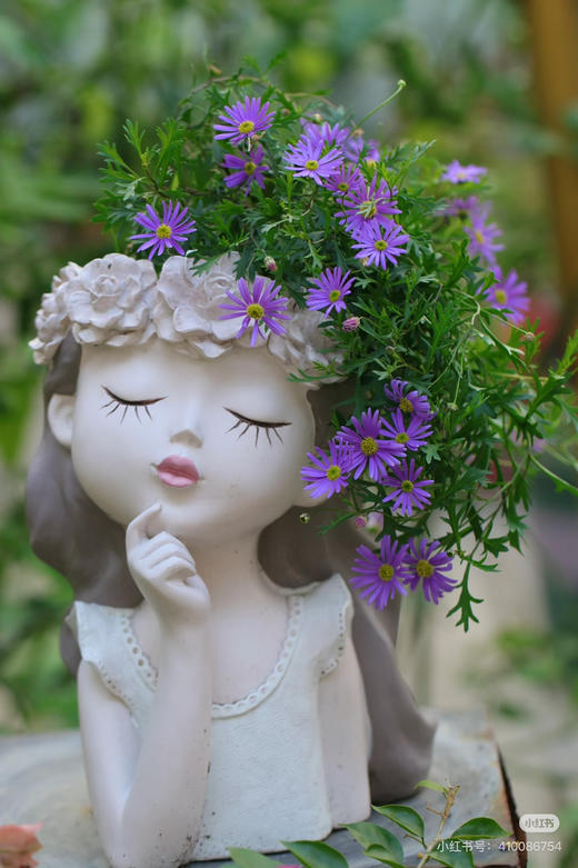 【2026.4.9绿植现货】150 #姬小菊15（现货，下单即可到店自提） 商品图8