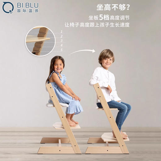 六件套 | 北欧Stokke Tripp Trapp儿童成长椅多功能学坐神器宝宝餐椅 餐椅TT 护栏套件 餐盘 安全带 新生儿套件 普通坐垫(随机款) 商品图4